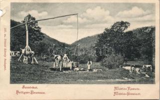 Budapest II. Máriaremete Szent Kút Divald (b)