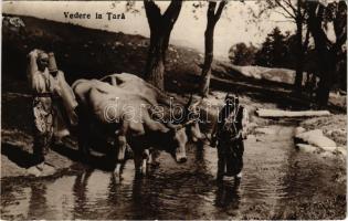 1928 Vedere la tara / Rumänische Landschaft / Romanian folklore (r)