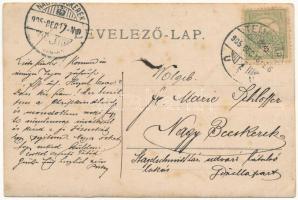 1905 Temesvár, Timisoara; Mercy utca, városi gyógyszertár, Várneky A. borbély terme, Paul Häuszler ü...