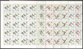 1982 Labdarúgó VB hajtott teljes ívsor