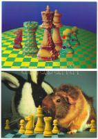 10 db MODERN megíratlan sakk motívum képeslap / 10 modern unused chess motive postcards s: Vámos Zoltán