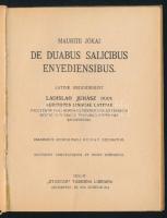 [Jókai Mór] Mauritius Jókai: De duabus salicibus Enyediensibus. [A nagyenyedi két fűzfa.] Ford.: Juh...