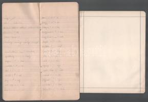 ca 1930 3 db iskolai füzet, kettőn irredenta grafikával