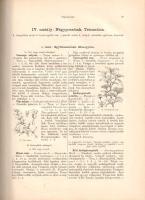 Wagner János: 
Magyarország virágos növényei. Hoffmann Károly növényatlaszának képeivel. A Hoffmann...