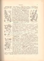 Wagner János: 
Magyarország virágos növényei. Hoffmann Károly növényatlaszának képeivel. A Hoffmann...