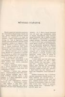 1848-49. A szabadságharc katonáinak egyenruhái. A képeket készítette: Domonkos Imre. Címlap és részl...