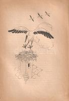 Fekete István: 
Csí. Történetek állatokról és emberekről. Győry Miklós rajzaival.
Budapest, (1944)...