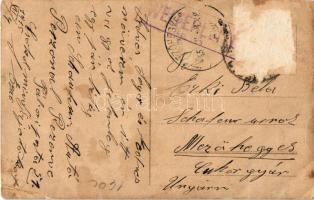 1915 Első világháborús osztrák-magyar katona, dióverő puskával / WWI Austro-Hungarian K.u.k. militar...