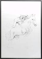 Melocco Miklós (1935-): Ló és leány. Szitanyomat, papír, jelzett, számozott (12/100), üvegezett fakeretben, 36×33 cm