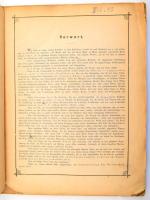 [Magyar Akademia] Gedenkbuch zur Eröffnungsfeier des ungarischen Akademie-Palastes. [Emlékkönyv a Ma...