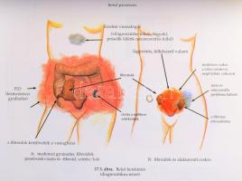 Barbara Ann Brennan Gyógyító kezek - Kézikönyv az emberi aura tanulmányozásához Duna International K...