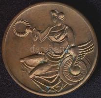 DN "BKV Hűségérem" Br emlékérem T:2