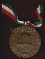 1935. "4. vdd. - Vdd. verseny, Hadipuska V.díj" Br díjérem T:2