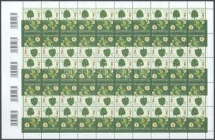 2016 Mezei szil hajtatlan teljes ív fordított párokkal