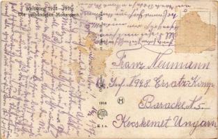 1917 Weltkrieg 1914-1915 Die verbündeten Monarchen / I. Ferenc József császár és II. Wilhelm német c...