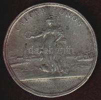 1772. "Fogarasi Pap József" ffém emlékérem T:3