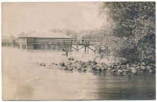 Hévíz, tó, fürdőző marhák, gulya. photo (EK)