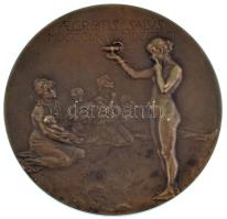 Beck Ötvös Fülöp (1873-1945) 1901. "Korányi Frigyes doktorrá avatásának 50. évfordulója" k...