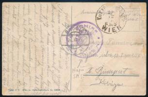 1915 Tábori posta képeslap "S.M.S. WIEN"