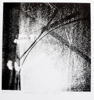 Olvashatatlan jelzéssel: Trikotázs, 2000. Rézkarc, papír, művészpéldány E.A. V/VIII számozással, 30×30 cm