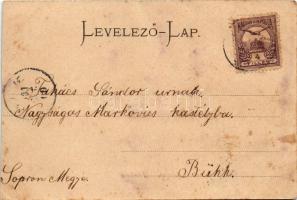 1901 Nagykanizsa, hetivásár jelenet, piac, árusok. Alt &amp; Böhm. Art Nouveau, floral (EB)