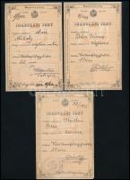 cca 1900 3 db igazolási jegy téglaverők, zenészek részére. Kiskunfélegyháza