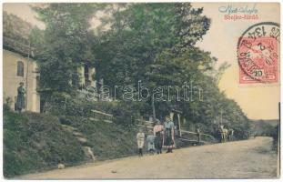 1910 Szejkefürdő, Baile Seiche (Székelyudvarhely, Odorheiu Secuiesc); utcakép. Erdélyi Simon kiadása / street view. TCV card + "SZÉKELY UDVARHELY - SEGESVÁR 134. SZ." vasúti mozgóposta bélyegző (EK)