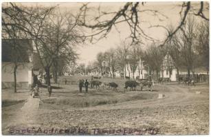 1917 Temesszentandrás, Szentandrás, Sanandrei; utcakép, szarvasmarhák, gulya, helyi lakosok / street view, cattle, local people. photo (EK)