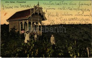 1912 Fehértemplom, Ung. Weisskirchen, Bela Crkva; Villa Haller, Prinzenthal / villa, nyaraló / villa (EK)