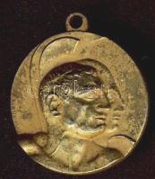 Olaszország 1927. "Egyetemi Világbajnokság" aranyozott díjérem T:2