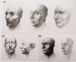 Szent Király, lovagkirály. A Szent László-herma és a koponyaereklye vizsgálatai. Szerk.: Kristóf Lil...