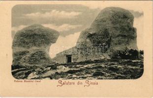 Sinaia, Vederea Munteui Omul / mountain peak (EK)