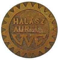 1987. "Halász Aurél" kétoldalas öntött bronz emlékplakett. Szign.: "VÍZI" (100mm...
