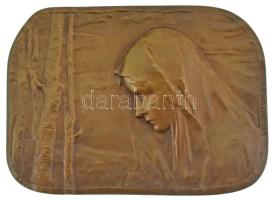 Stefan Schwartz (1851-1924) Ausztria DN(~1900) "Nő fátyolban, erdei tájképpel" egyoldalas bronz szecessziós plakett (58x80mm) T:AU Stefan Schwartz (1851-1924) Austria ND(~1900) "Female profile view and a forest landscape" one-sided bronze plaque (58x80mm) C:AU