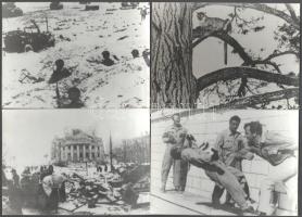 kb 25 db sajtófotó vegyes témákkal kartonon háború, erotika, tudományok 18x13 cm