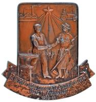 1961. "A mezőgazdaság szocialista átszervezésében végzett jó munkáért 1959-1961" bronzozott Zn plakett (85x82mm) T:XF kopott bronzozás, ph., oxidáció