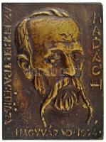 Tőrös Gábor (1934-2021) 1974. Nagyvárad "Madách - Az ember tragédiája" egyoldalas, öntött bronz emlékplakett (115x150mm) T:XF, patina, hátoldalán akasztáshoz fúrt lyukkal