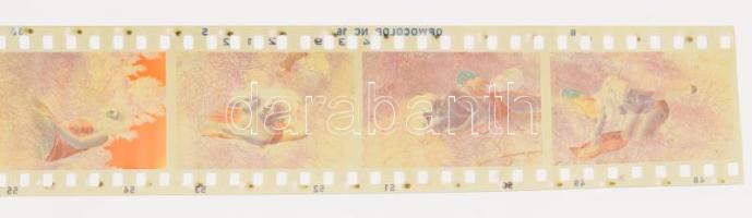 4 darab női akt fotónegatív