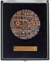 Asszonyi Tamás (1942- ) 1976. "MTESZ / Műszaki és Természettudományi Egyesületek Szövetsége" kétoldalas bronz plakett, névre szóló adományozotti táblácskával, eredeti dísztokban (78mm) T:AU