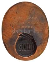 1978. Kisiparosok Országos Szövetsége "KIOSZ 1948-1978" egyoldalas, öntött bronz emlékplak...
