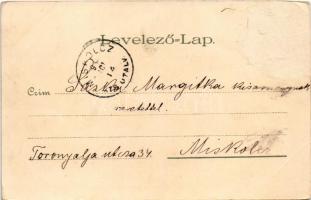 1899 (Vorläufer) Budapest VIII. Nemzeti Múzeum, magyar zászló. Kunstanstalt Kosmos S. IX. litho (Rb)