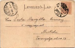 1899 (Vorläufer) Budapest, Ferenc József lánchíd, Vásárcsarnok, Fővámpalota, vámházak. Stengel &...