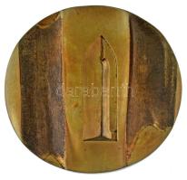 Kiss Nagy András (1930-1997) DN "A Magyar Műemlék Védelemért" kétoldalas öntött bronz emlé...