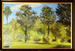 Scholz Erik (1926-1995): Arborétum. Olaj, farost, jelezve jobbra lent. Üvegezett, kissé sérült fakeretben, 75×115 cm. KIZÁRÓLAG SZEMÉLYES ÁTVÉTEL, NEM POSTÁZZUK! / ONLY PERSONAL COLLECTION AT OUR OFFICE!