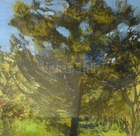 Scholz Erik (1926-1995): Arborétum. Olaj, farost, jelezve jobbra lent. Üvegezett, kissé sérült faker...