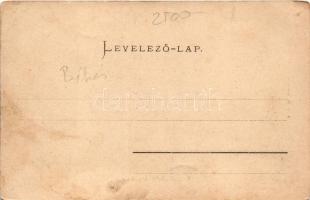 Orosháza, Állami polgári iskola, Árpád tér. Pless N. kiadás. Art Nouveau (EB)