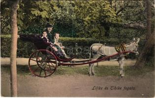 Eger, Érsekkert, Lilike és Tibike fogata (EK)