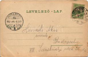 1902 Békéscsaba, Fő tér, Fiume szálloda, kávéház, Rosenthal Testvérek üzlete. Dohánynagytőzsde kiadá...