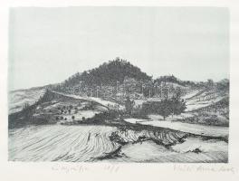 Olvashatatlan jelzéssel: Táj. Litográfia, papír. VI/1 számozással. 21×30 cm