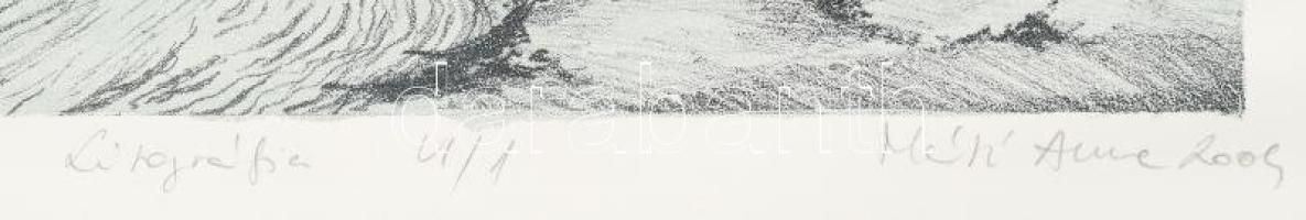 Olvashatatlan jelzéssel: Táj. Litográfia, papír. VI/1 számozással. 21×30 cm